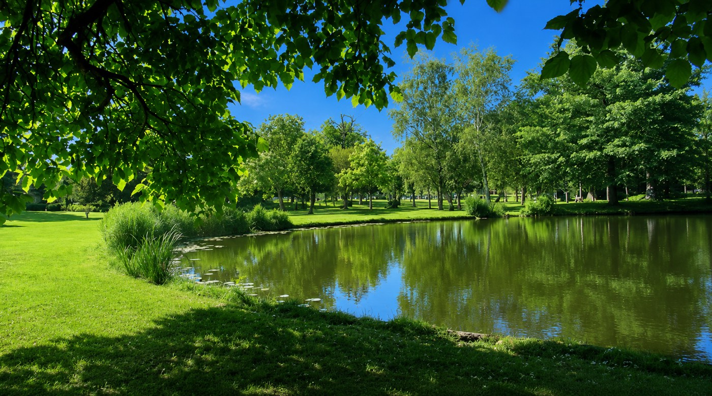 Wonen in Oog in Al